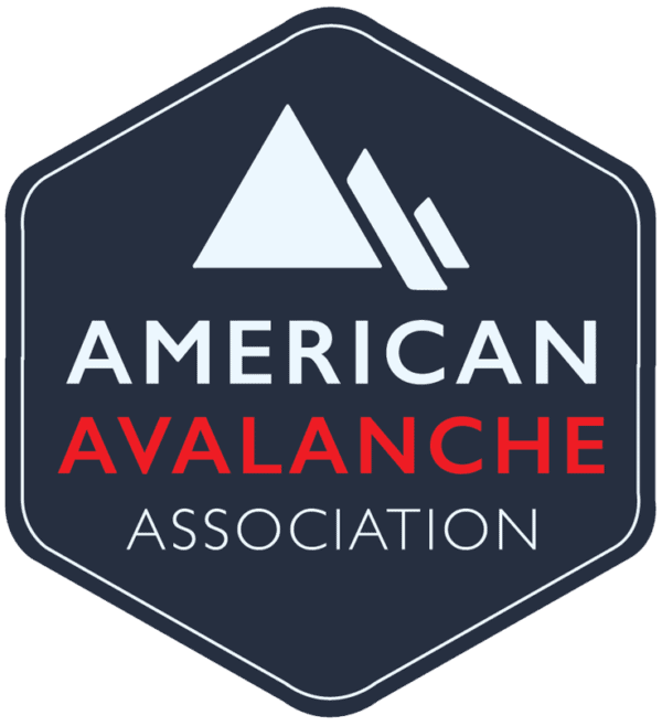 American Avalanche Association