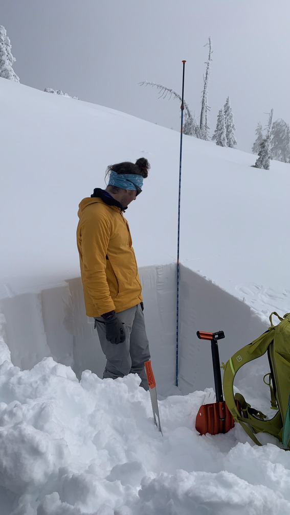 Snow pit viewing on an AIARE 1 course