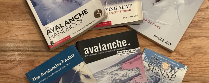 Several of the books mentioned in this article