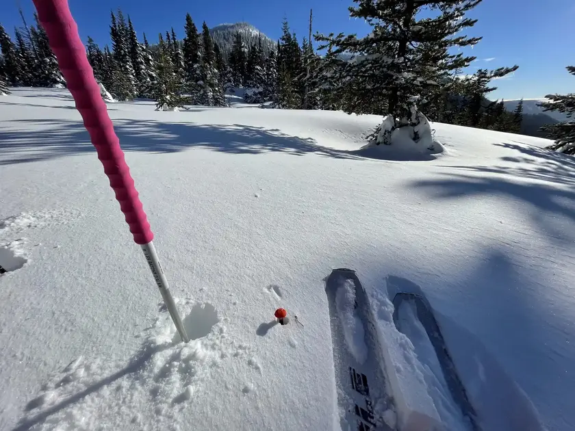 Fully buried 320cm-long avalanche probe on Mt. Hood in December