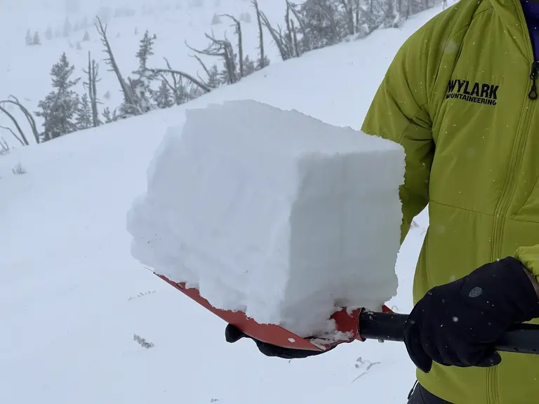 A shovel tilt test showing surface instability on Halloween 2024 />
</div>

<p>
	While the snowpack could have been much spookier (see: persistent slabs
	with confusing spatial variability), we did observe signs of instability
	even in the 14” that we skied. Shooting cracks under our skis on all
	aspects, particularly as the day went on, likely due to rising air temps
	mid-storm were interesting.
</p>

<p>
	It doesn't take much snow to ski (or avalanche, for that matter),
	especially when you've got a good-enough base and surface snow on the
	warmer side. We hope your 2024-2025 season is as good as today's turns!
</p>

<hr class=