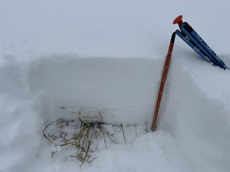 The Halloween snowpack measuered HS 35cm aka about 1.25 feet deep