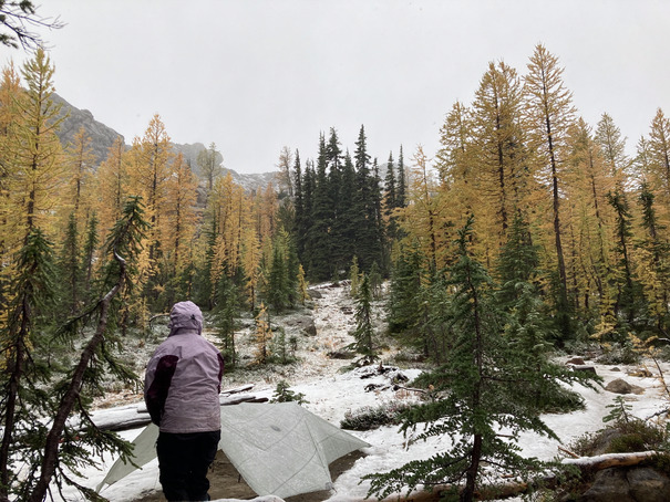 Practicing Leave No Trace skills in Washington state