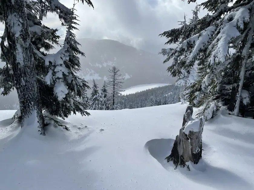 Mt. Hood National Forest backcountry