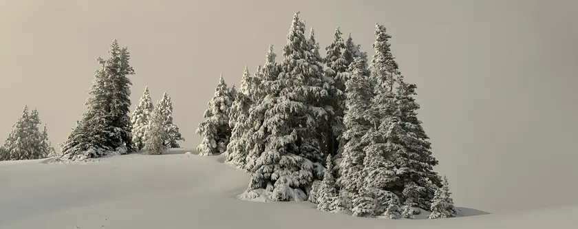 Perfect blanket of snow in October, 2025